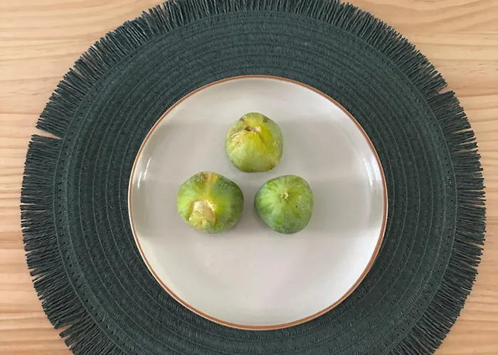 Val Li パラジャーノ